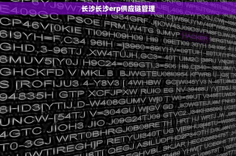 长沙长沙erp供应链管理