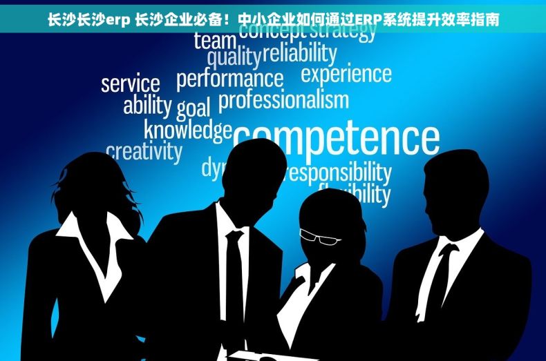 长沙长沙erp 长沙企业必备！中小企业如何通过ERP系统提升效率指南