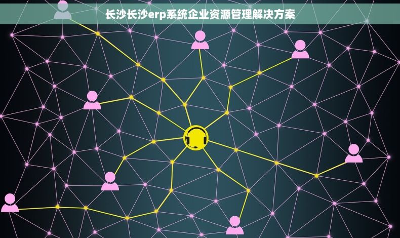 长沙长沙erp系统企业资源管理解决方案