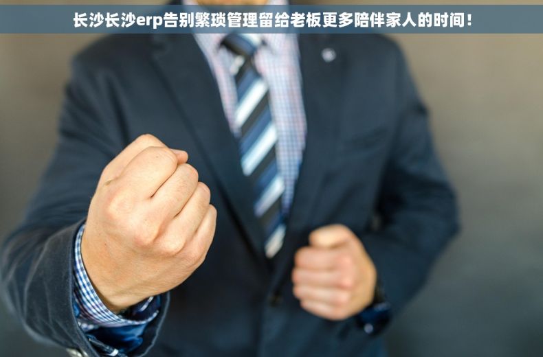 长沙长沙erp告别繁琐管理留给老板更多陪伴家人的时间！