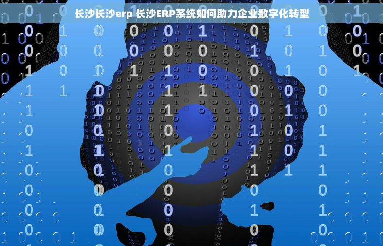 长沙长沙erp 长沙ERP系统如何助力企业数字化转型