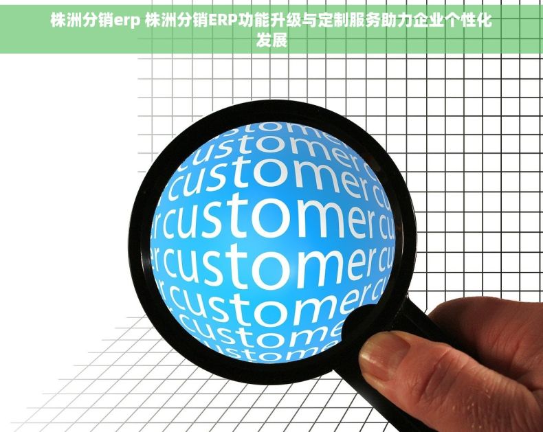 株洲分销erp 株洲分销ERP功能升级与定制服务助力企业个性化发展