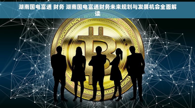 湖南国电富通 财务 湖南国电富通财务未来规划与发展机会全面解读