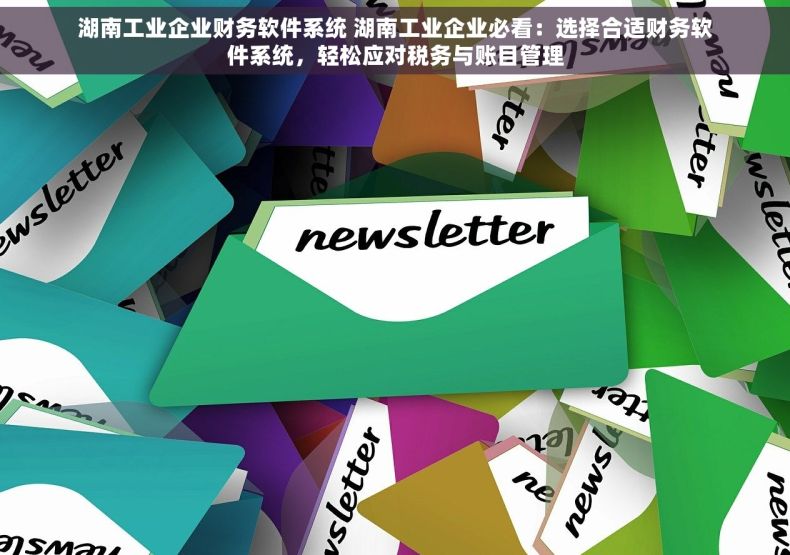 湖南工业企业财务软件系统 湖南工业企业必看：选择合适财务软件系统，轻松应对税务与账目管理