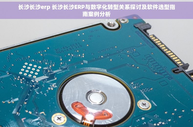 长沙长沙erp 长沙长沙ERP与数字化转型关系探讨及软件选型指南案例分析