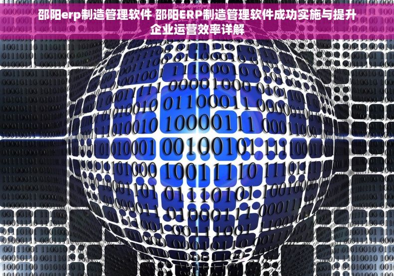 邵阳erp制造管理软件 邵阳ERP制造管理软件成功实施与提升企业运营效率详解