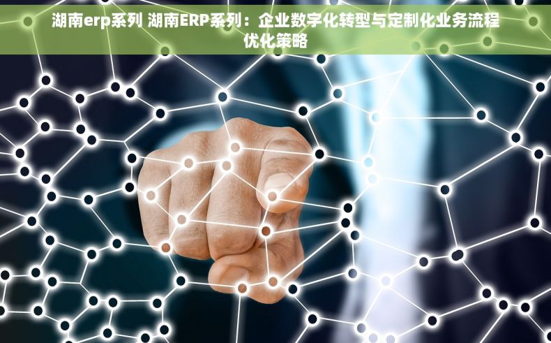 湖南erp系列 湖南ERP系列：企业数字化转型与定制化业务流程优化策略