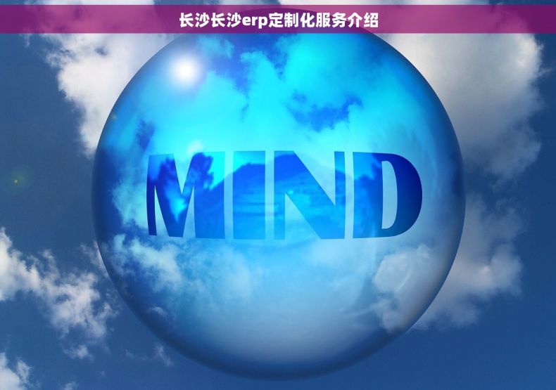 长沙长沙erp定制化服务介绍