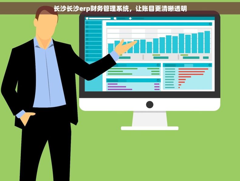 长沙长沙erp财务管理系统，让账目更清晰透明