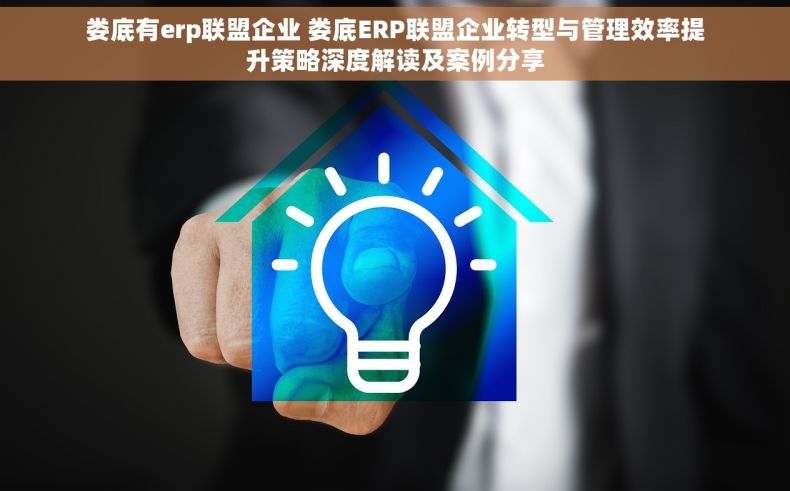 娄底有erp联盟企业 娄底ERP联盟企业转型与管理效率提升策略深度解读及案例分享