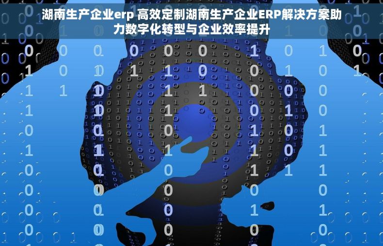 湖南生产企业erp 高效定制湖南生产企业ERP解决方案助力数字化转型与企业效率提升