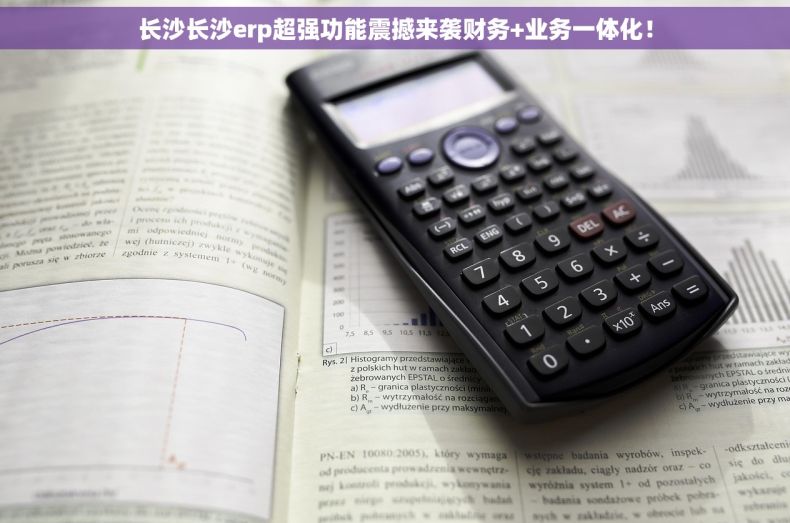 长沙长沙erp超强功能震撼来袭财务+业务一体化！