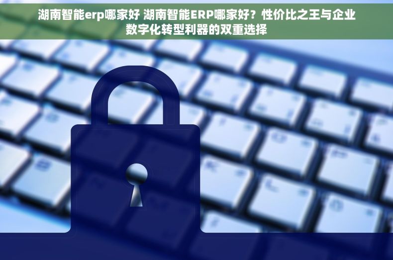 湖南智能erp哪家好 湖南智能ERP哪家好？性价比之王与企业数字化转型利器的双重选择