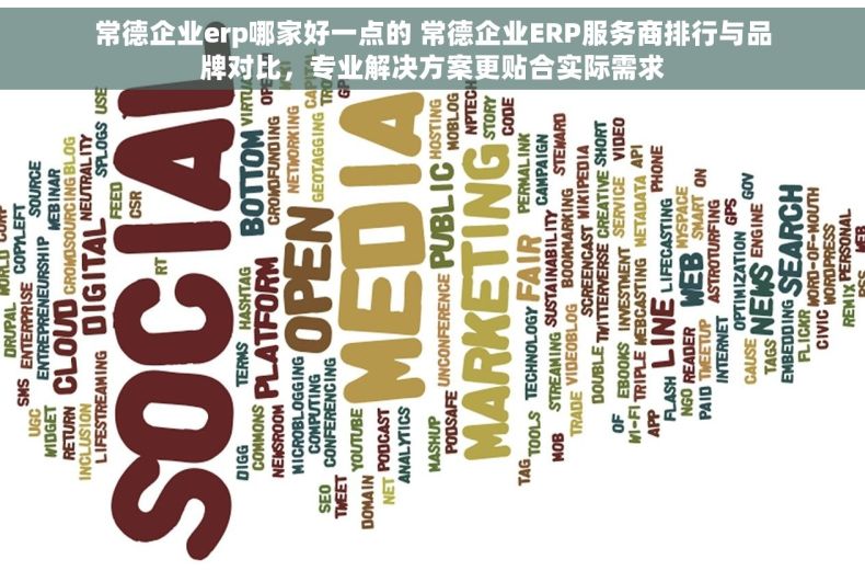 常德企业erp哪家好一点的 常德企业ERP服务商排行与品牌对比，专业解决方案更贴合实际需求