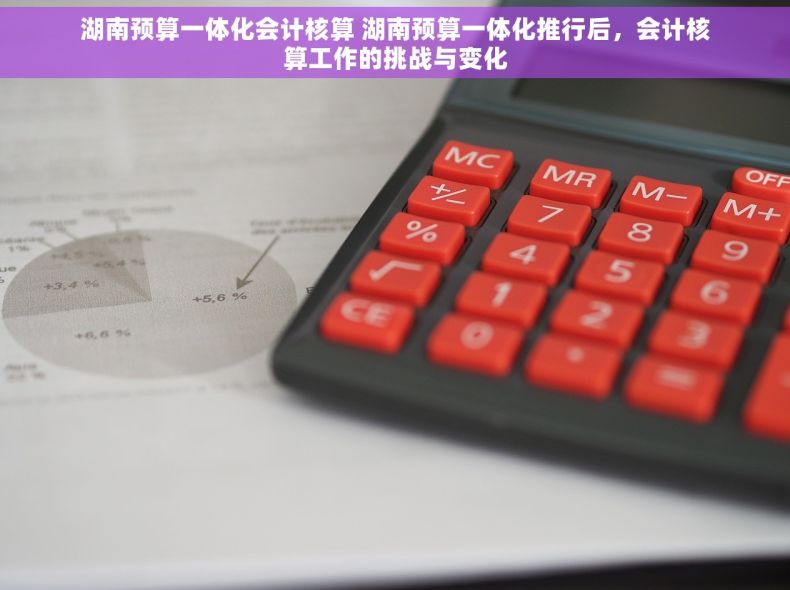 湖南预算一体化会计核算 湖南预算一体化推行后，会计核算工作的挑战与变化