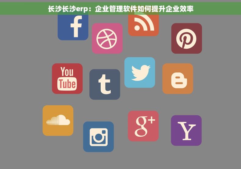长沙长沙erp：企业管理软件如何提升企业效率