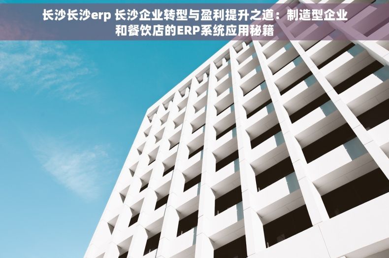 长沙长沙erp 长沙企业转型与盈利提升之道：制造型企业和餐饮店的ERP系统应用秘籍