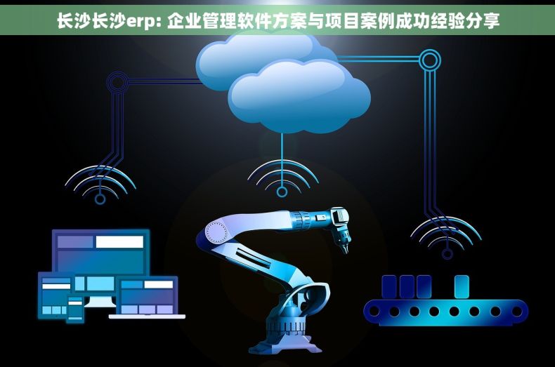 长沙长沙erp: 企业管理软件方案与项目案例成功经验分享