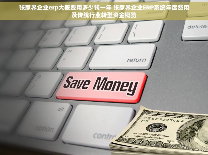 张家界企业erp大概费用多少钱一年 张家界企业ERP系统年度费用及传统行业转型资金概览