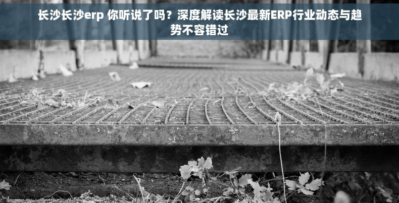 长沙长沙erp 你听说了吗？深度解读长沙最新ERP行业动态与趋势不容错过