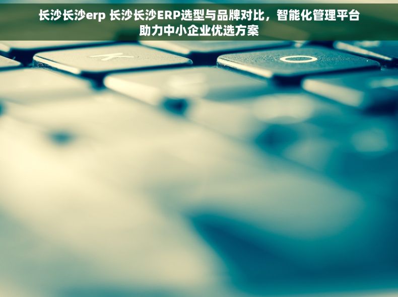 长沙长沙erp 长沙长沙ERP选型与品牌对比，智能化管理平台助力中小企业优选方案