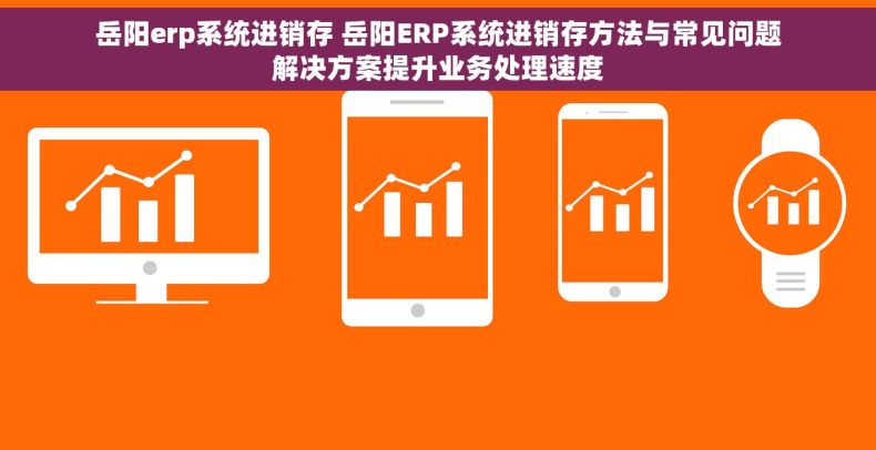 岳阳erp系统进销存 岳阳ERP系统进销存方法与常见问题解决方案提升业务处理速度