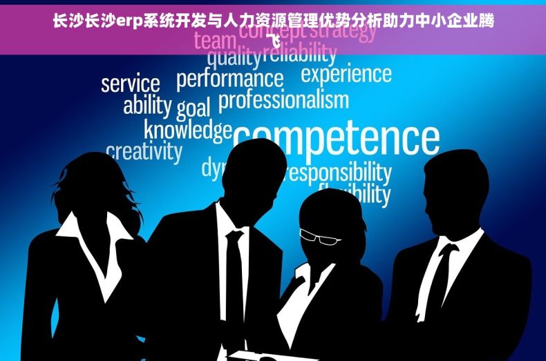 长沙长沙erp系统开发与人力资源管理优势分析助力中小企业腾飞