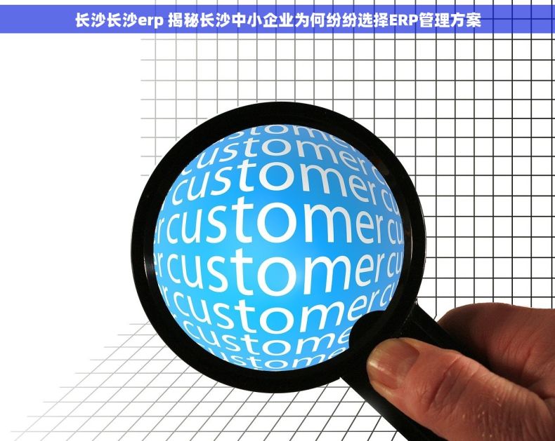 长沙长沙erp 揭秘长沙中小企业为何纷纷选择ERP管理方案