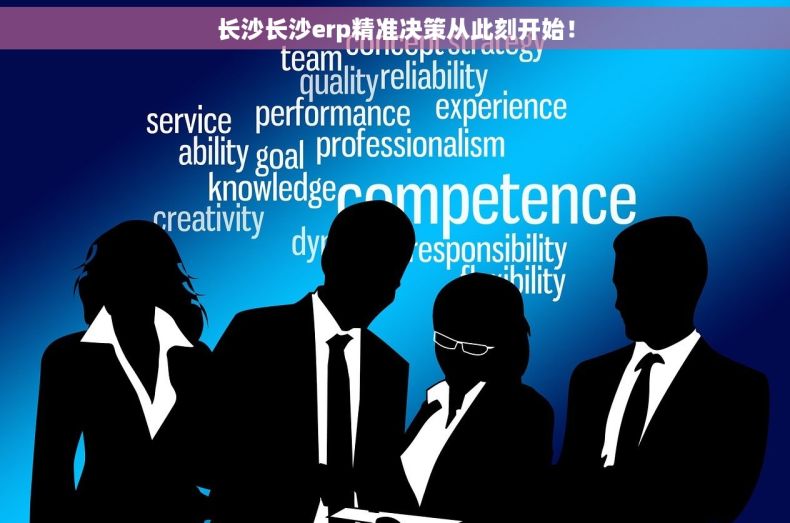 长沙长沙erp精准决策从此刻开始！