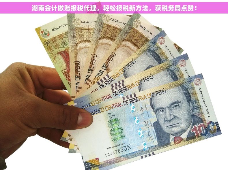 湖南会计做账报税代理，轻松报税新方法，获税务局点赞！