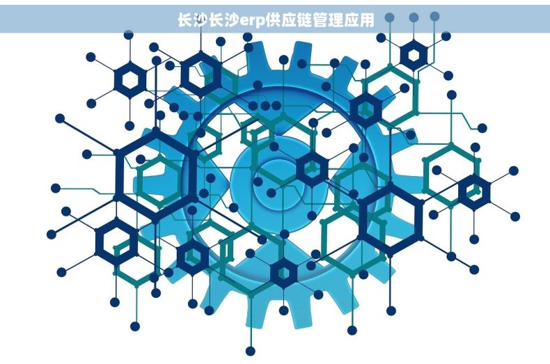 长沙长沙erp供应链管理应用