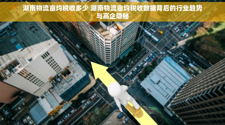 湖南物流亩均税收多少 湖南物流亩均税收数据背后的行业趋势与高企隐秘