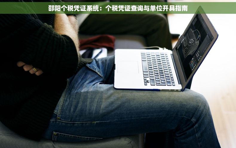 邵阳个税凭证系统：个税凭证查询与单位开具指南