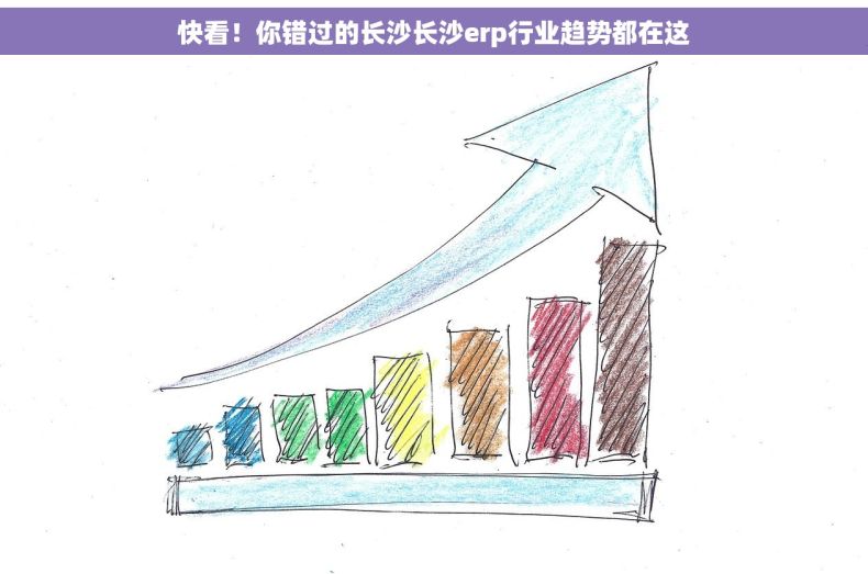 快看！你错过的长沙长沙erp行业趋势都在这