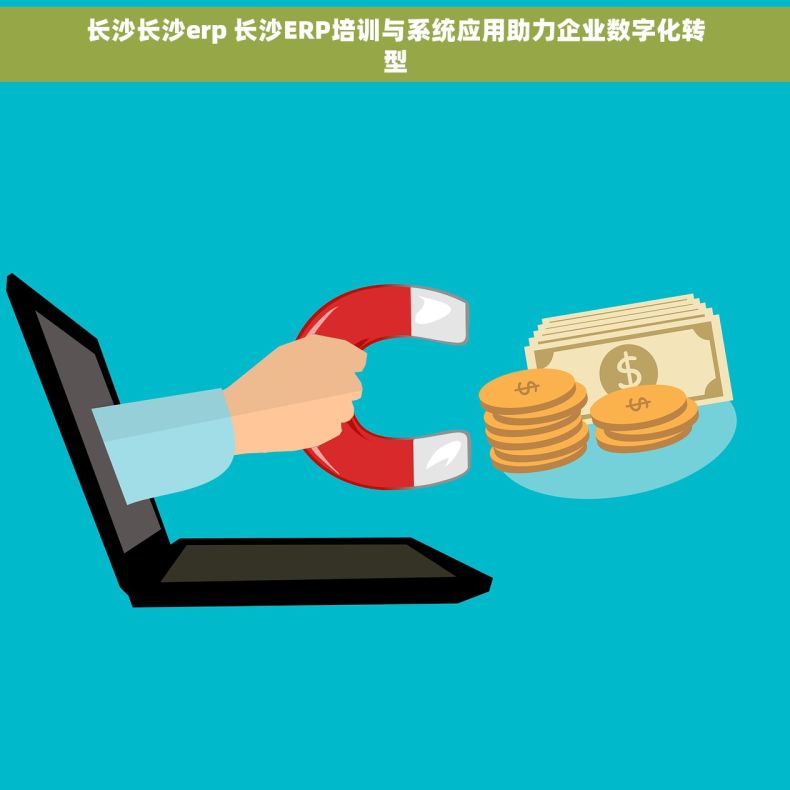 长沙长沙erp 长沙ERP培训与系统应用助力企业数字化转型