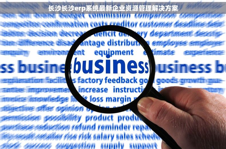 长沙长沙erp系统最新企业资源管理解决方案
