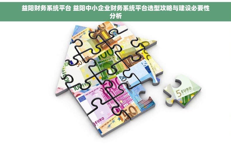 益阳财务系统平台 益阳中小企业财务系统平台选型攻略与建设必要性分析