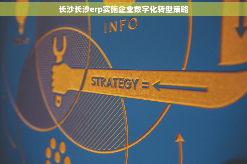 长沙长沙erp实施企业数字化转型策略