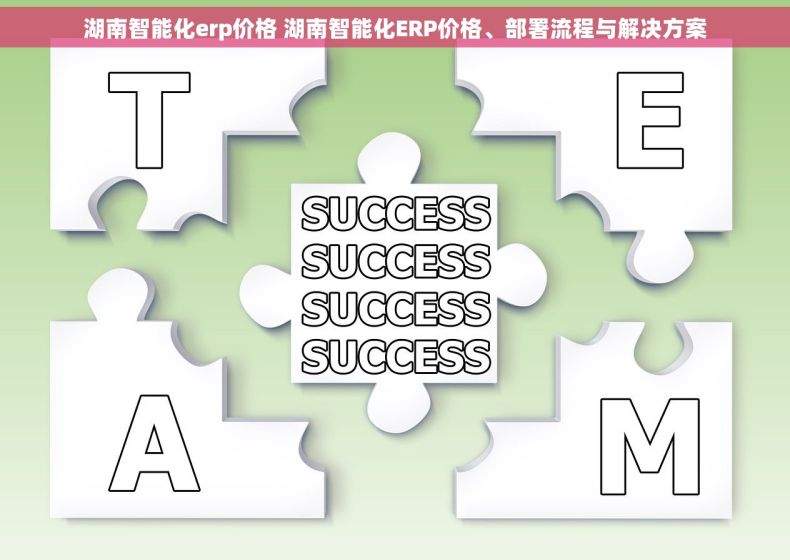湖南智能化erp价格 湖南智能化ERP价格、部署流程与解决方案