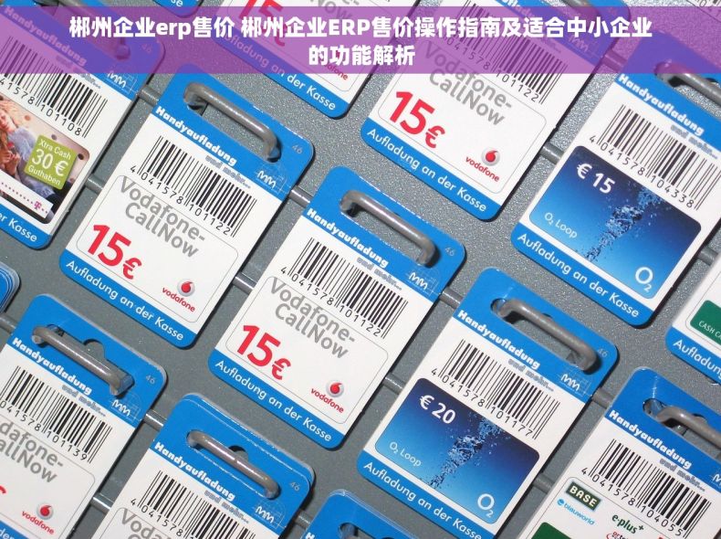 郴州企业erp售价 郴州企业ERP售价操作指南及适合中小企业的功能解析