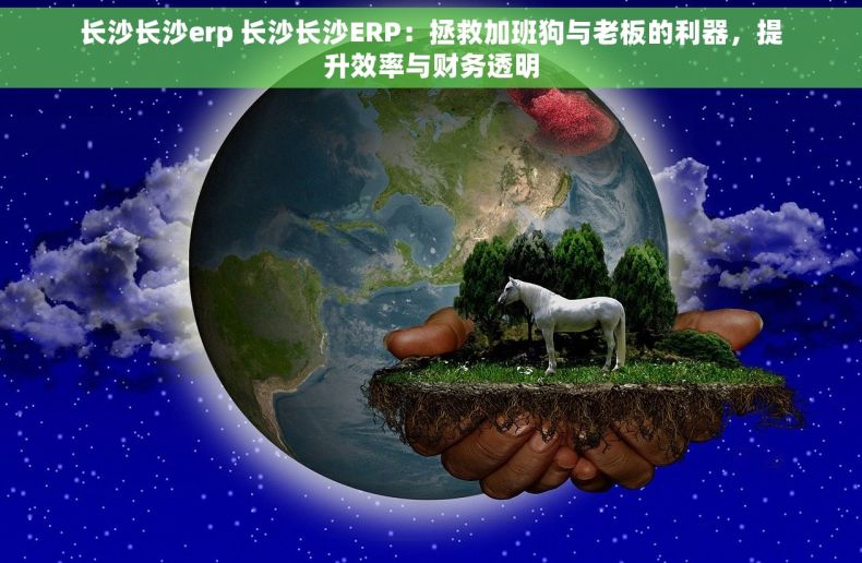 长沙长沙erp 长沙长沙ERP：拯救加班狗与老板的利器，提升效率与财务透明