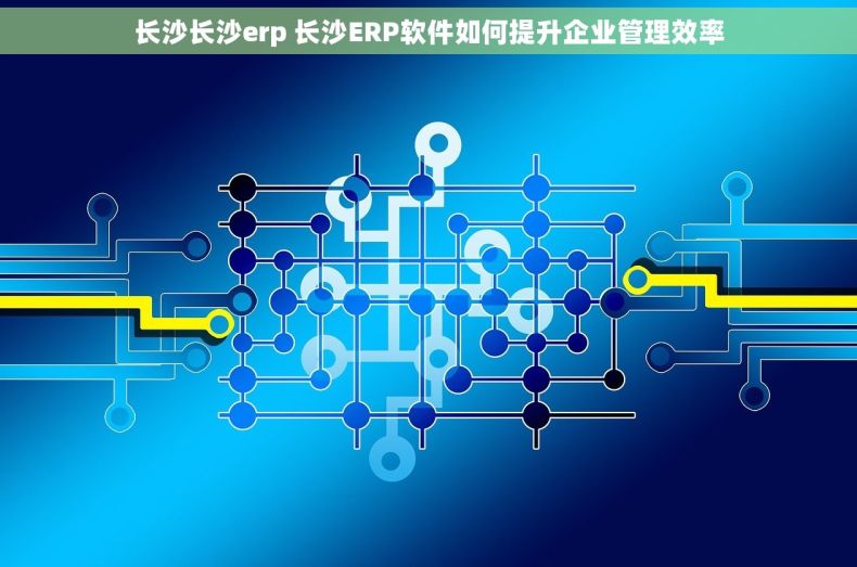 长沙长沙erp 长沙ERP软件如何提升企业管理效率