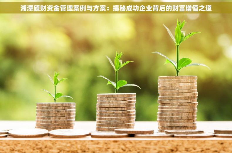 湘潭颀财资金管理案例与方案：揭秘成功企业背后的财富增值之道