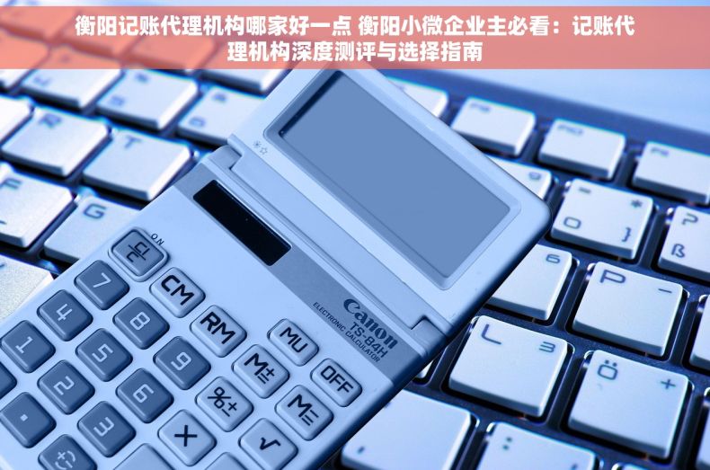 衡阳记账代理机构哪家好一点 衡阳小微企业主必看：记账代理机构深度测评与选择指南