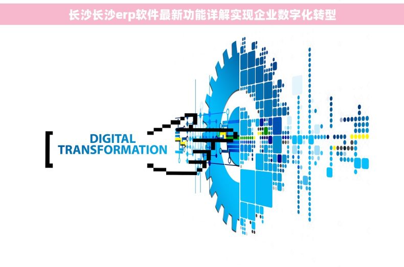 长沙长沙erp软件最新功能详解实现企业数字化转型