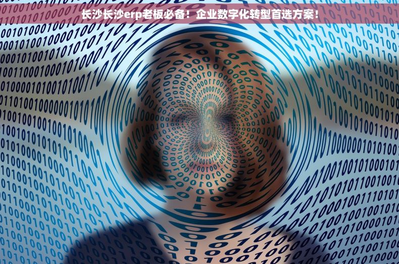 长沙长沙erp老板必备！企业数字化转型首选方案！
