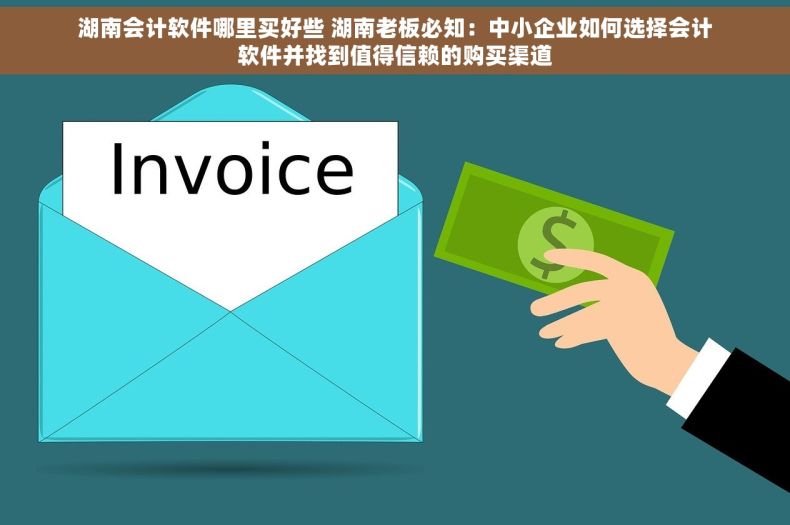 湖南会计软件哪里买好些 湖南老板必知：中小企业如何选择会计软件并找到值得信赖的购买渠道