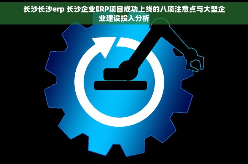长沙长沙erp 长沙企业ERP项目成功上线的八项注意点与大型企业建设投入分析