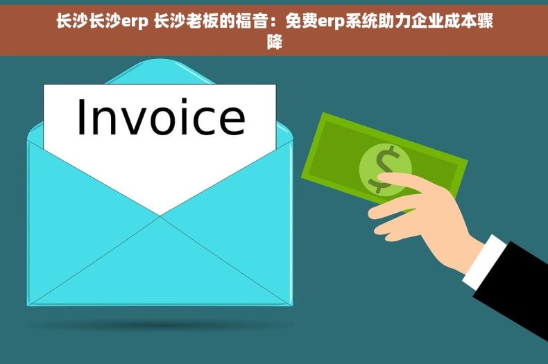 长沙长沙erp 长沙老板的福音：免费erp系统助力企业成本骤降