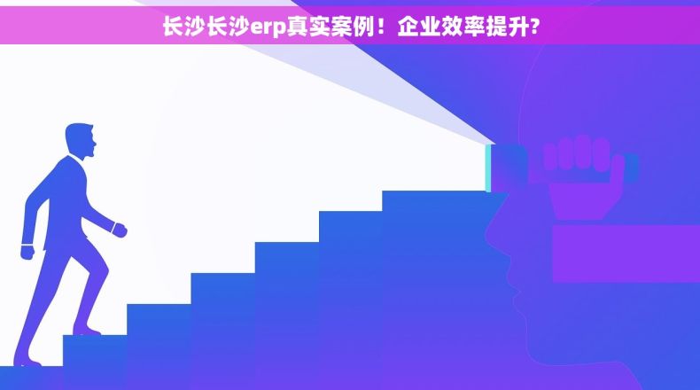长沙长沙erp真实案例！企业效率提升?